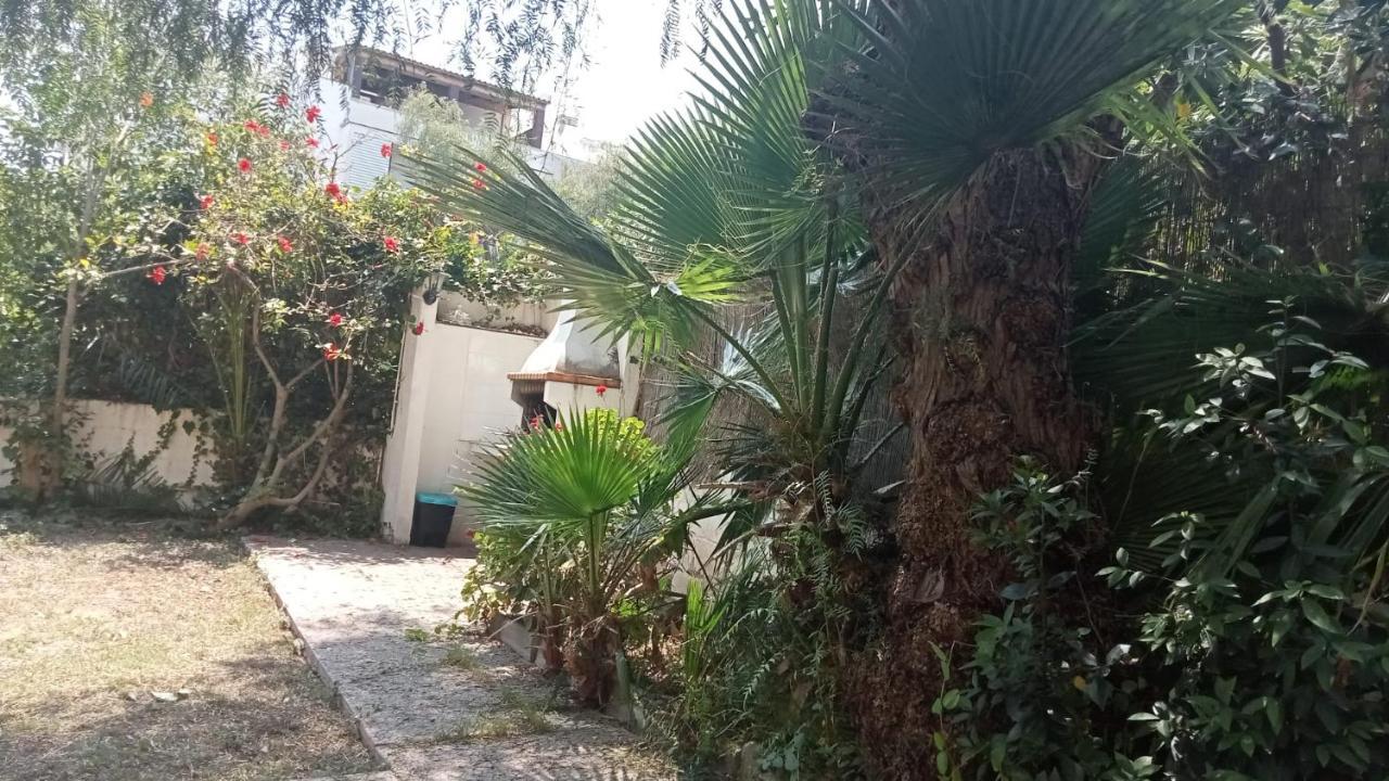 Apartamento - Jardin En Playa San Sebastian Sitges Kültér fotó